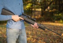 What can you kill with a 177 air rifle?